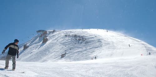mammoth