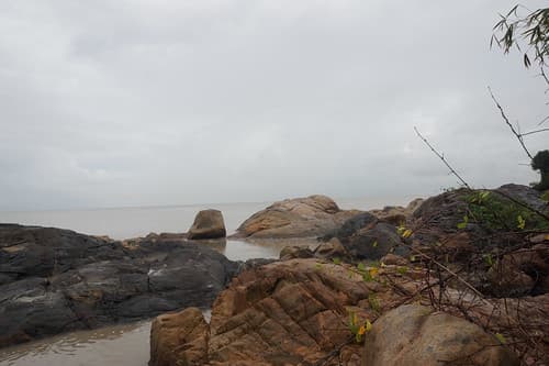Cote de Cayenne près de Montabo, décembre 2016