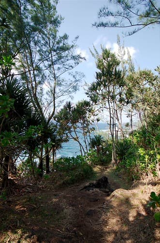 Nature Réunion