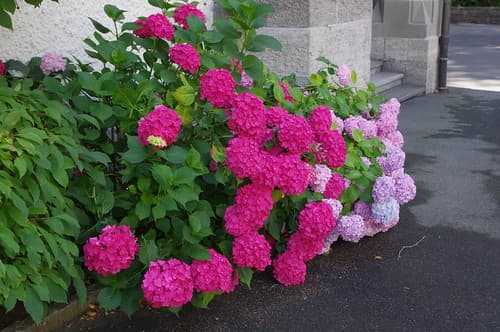 imgp4139