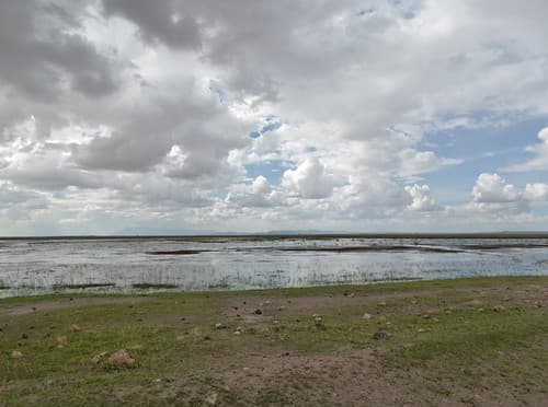Amboseli swamp