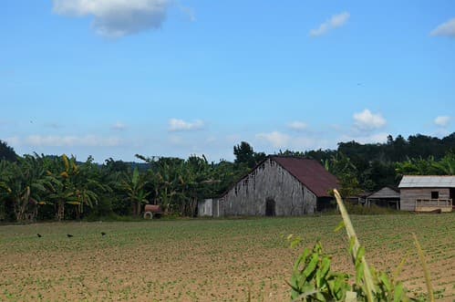 Valle de Viñales I