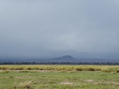Amboseli rain
