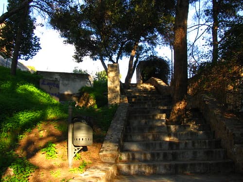 Dappled Sunlight on the Costa del Sol, Spain