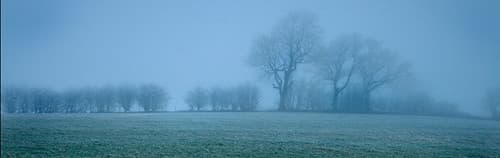 The frozen mists of Yorkshire