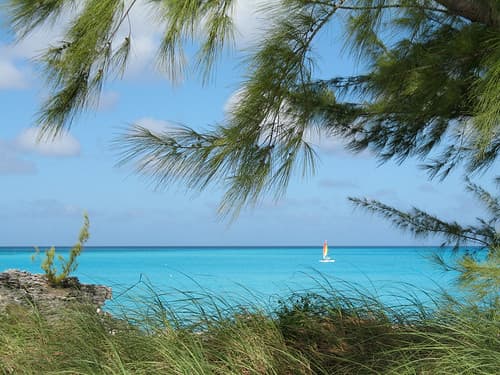 Vacances aux Bahamas 2008