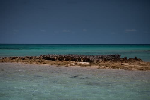 Ship Channel Cay | 110513-3912-jikatu