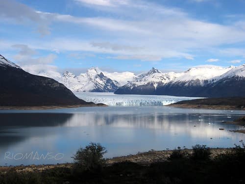 calafate