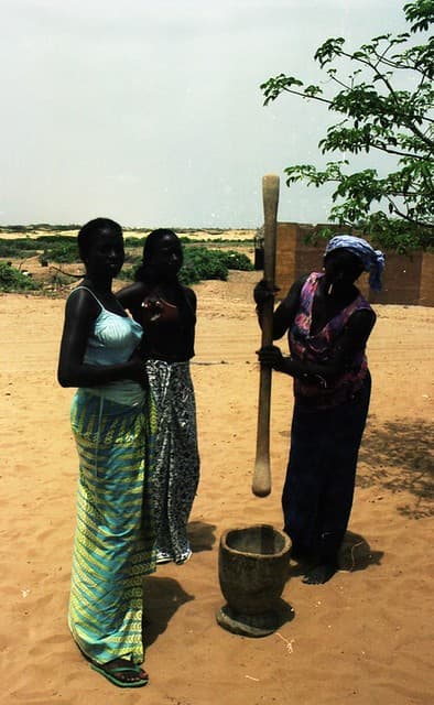 rés.les Alizées à Saly