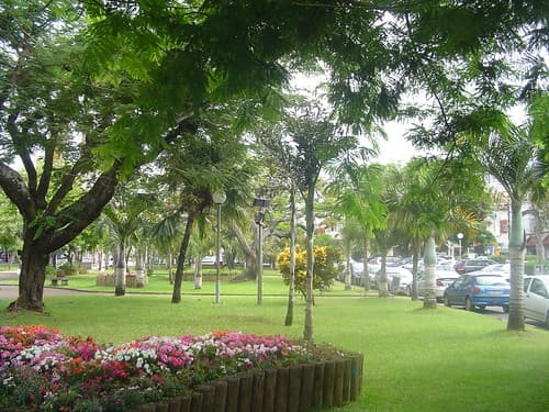 Jardin de la Mairie de Saint Pierre