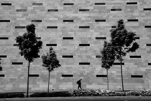 Frankfurt am Main - Wall