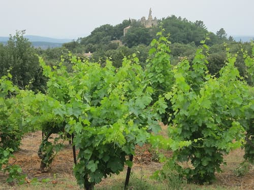 Sabran, Gard, Languedoc-Roussillon, France