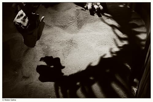 Shadow