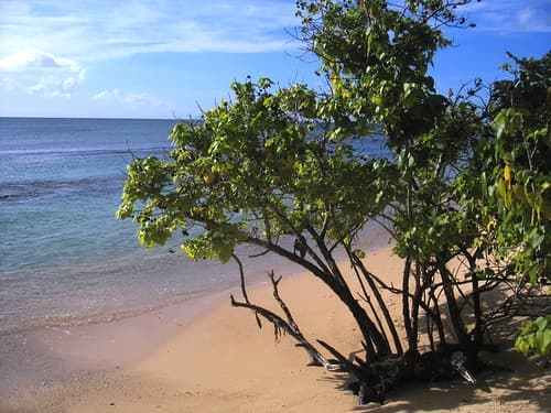 Grande-Terre