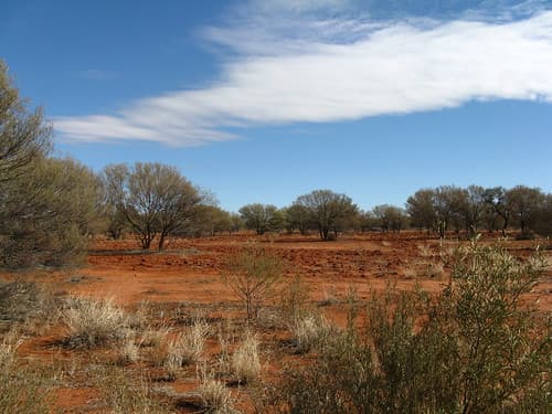 Uluru