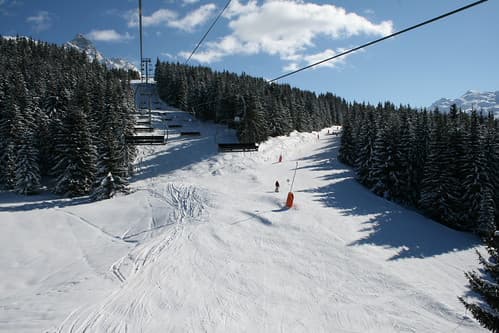 Lapin run
