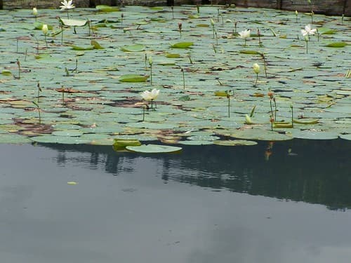 Nepal, Pokhara