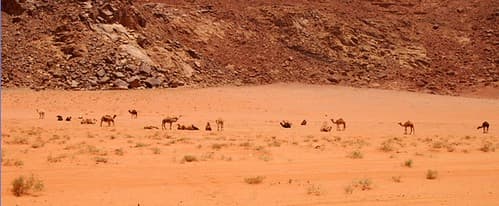 Wadi Rum