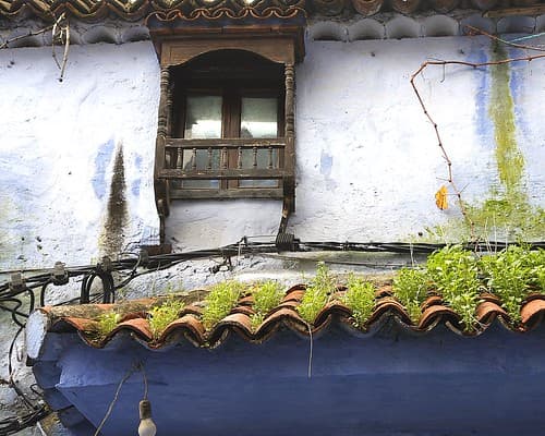 Herbe et balcon