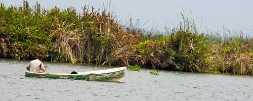 IMG_3975
