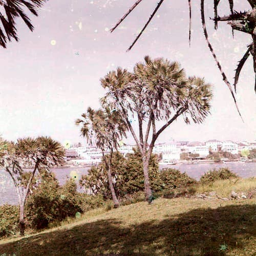 View on old Mombasa