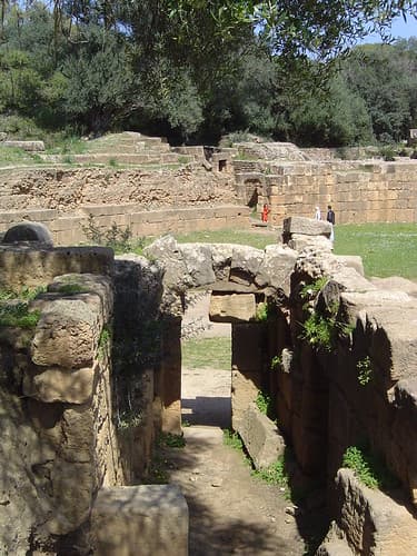 Tipaza