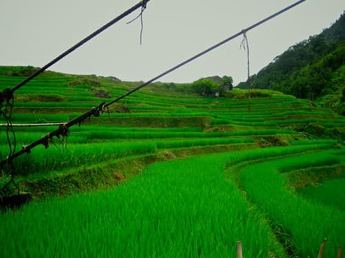 Sapa, Vietnam.