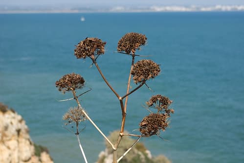 Algarve Portugal