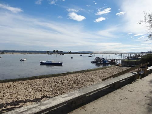 Cap-Ferret