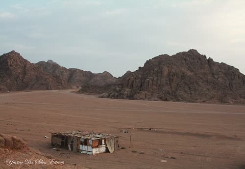 Désert, Sinai, Egypte (2)