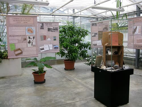 Exposition temporaire "L’herbier de la Réunion" au Jardin Botanique Henri Gaussen