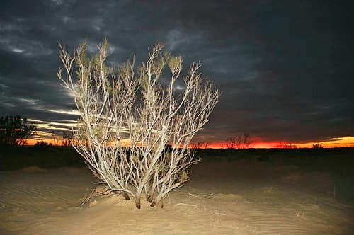 By night