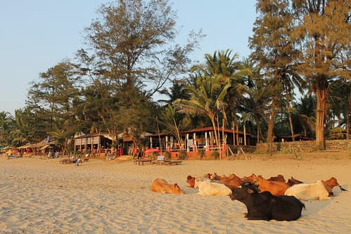 Goa, Plage d'Agonda
