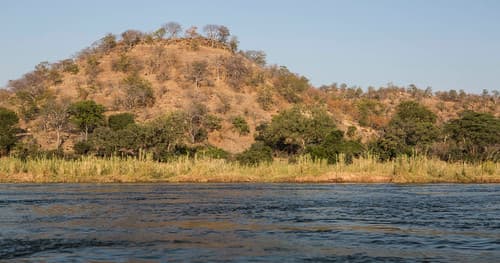 4Y1A0901 Zimbabwe