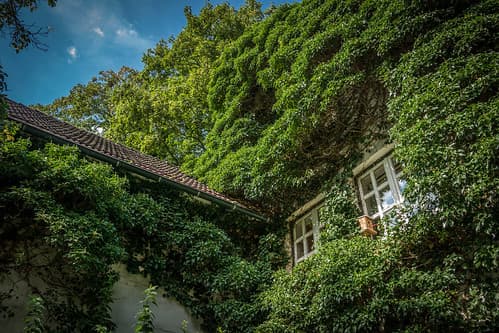 Nature vs Architecture