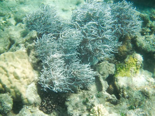 DSCF7327