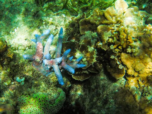 DSCF7365