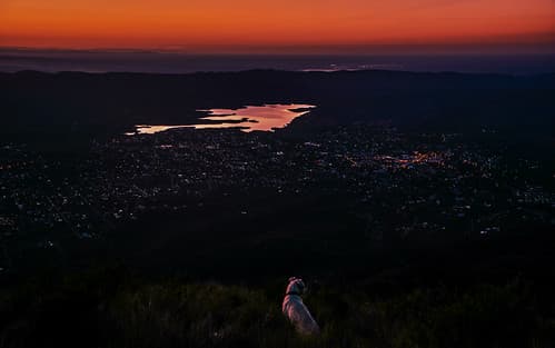 EL GUARDIAN