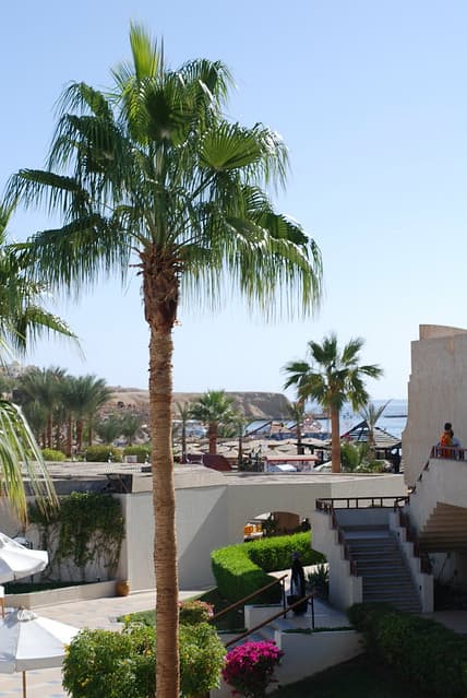 Sharm El Sheikh