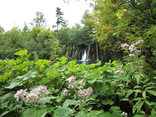 Parc de Plitvice