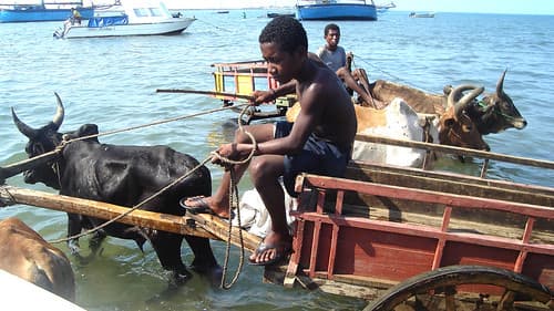 Our mode of transport to boat for Anakoa