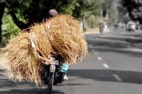 indonesian tractor - Java
