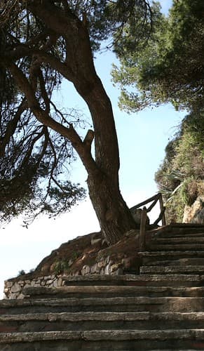 España : Cataluña, Costa Brava, Platja d'Aro