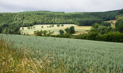 Luxembourg Countryside