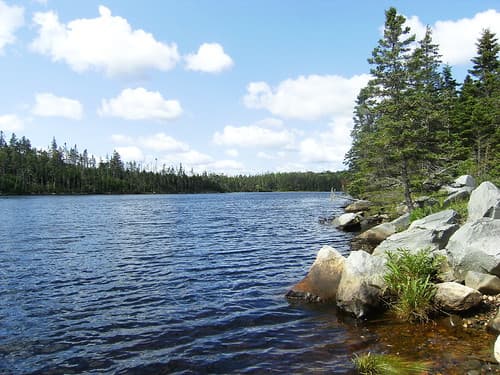 Lake