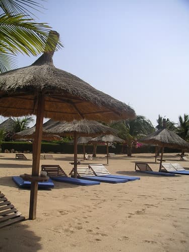 Saly