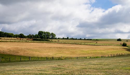 Luxembourg Landscape