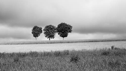 Luxembourg Landscape
