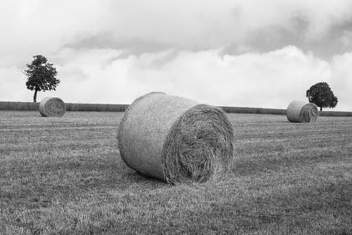 Luxembourg Landscape