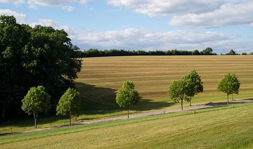 Luxembourg Countryside